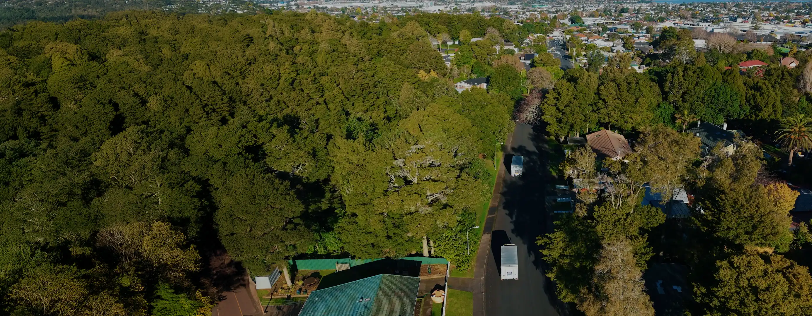 Auckland to Wellington Movers